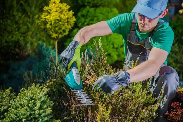 landscaping services Somerville
